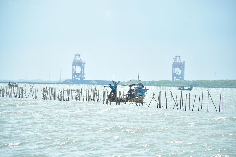 Kortas Tipidkor Polri Usut Dugaan Korupsi di Kasus Pagar Laut Tangerang
