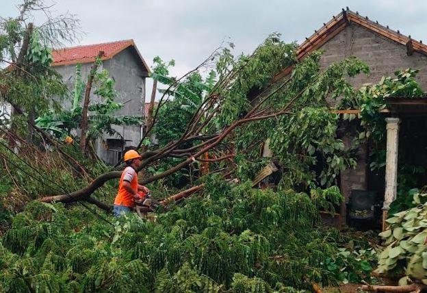 Cuaca Ekstrem di Jatim, 2 Kabupaten Diterjang Hujan Deras dan Angin Kencang