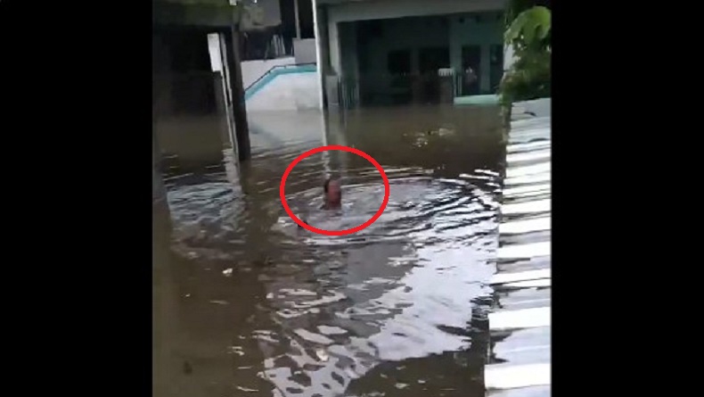 Viral Emak-Emak Terobos Banjir Setinggi Leher di Makassar demi Ambil Barang Berharga