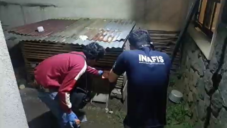 Penjaga Vila di Pasuruan Dibunuh di Kandang Ayam, Sempat Baku Hantam dengan Pelaku