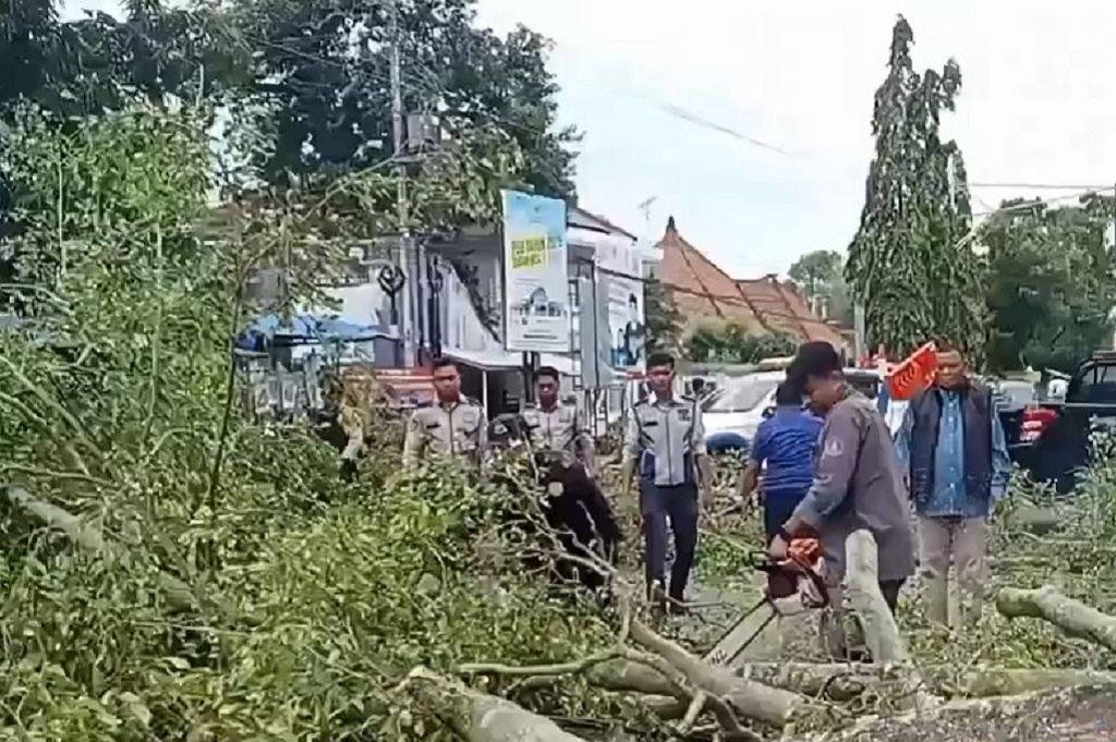Kronologi Lengkap Pohon Tumbang saat Salat Id di Pemalang Tewaskan 2 Orang, 17 Luka-luka