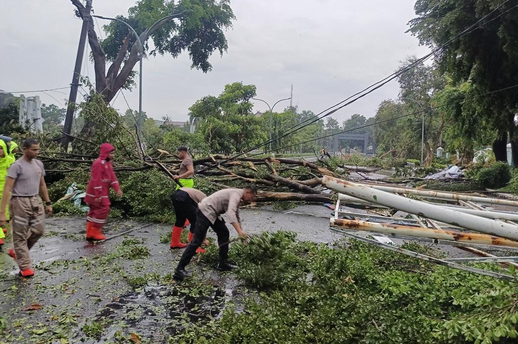 Hujan Angin Terjang Bogor, Sejumlah Pohon di Kompleks Pemkab Tumbang