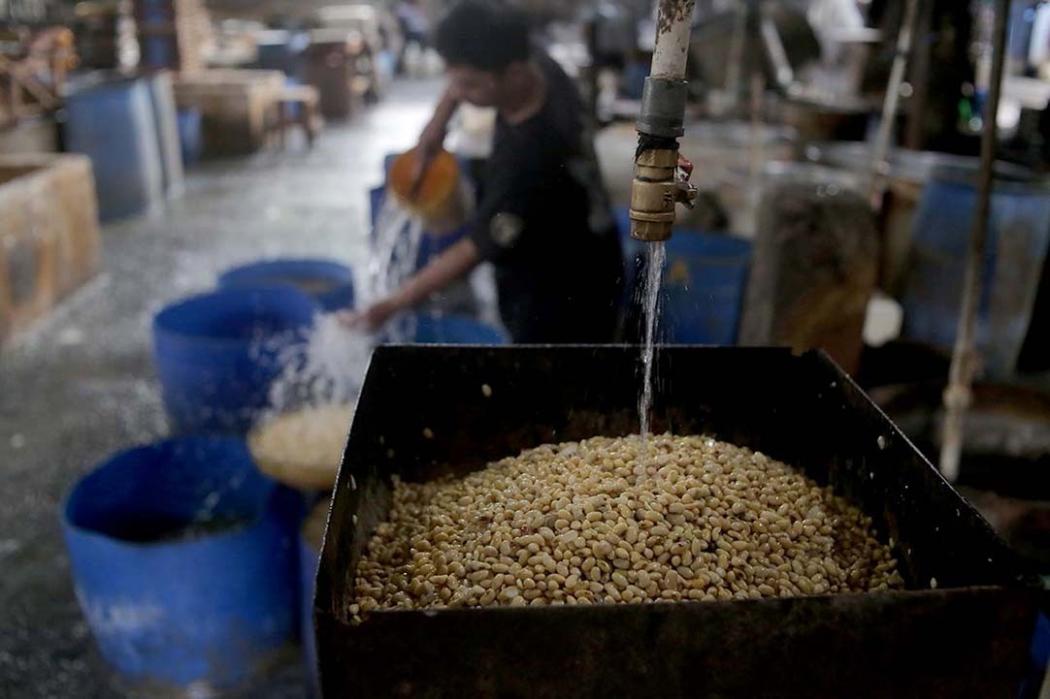 Pemerintah Jamin Harga Kedelai Terkendali demi Jaga Industri Tahu Tempe