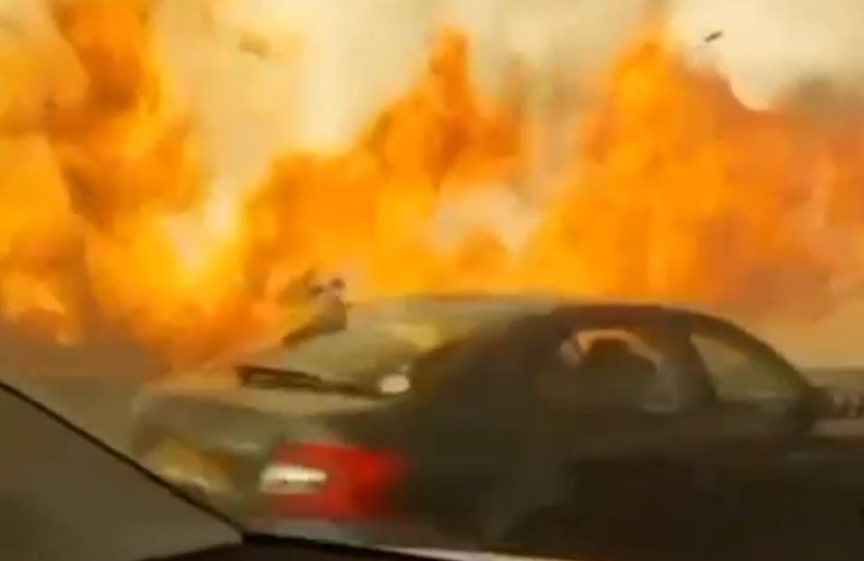 Horor! Penampakan Hebatnya Kebakaran Hutan Israel, Api Lahap Mobil di Jalan Penumpang Berlarian