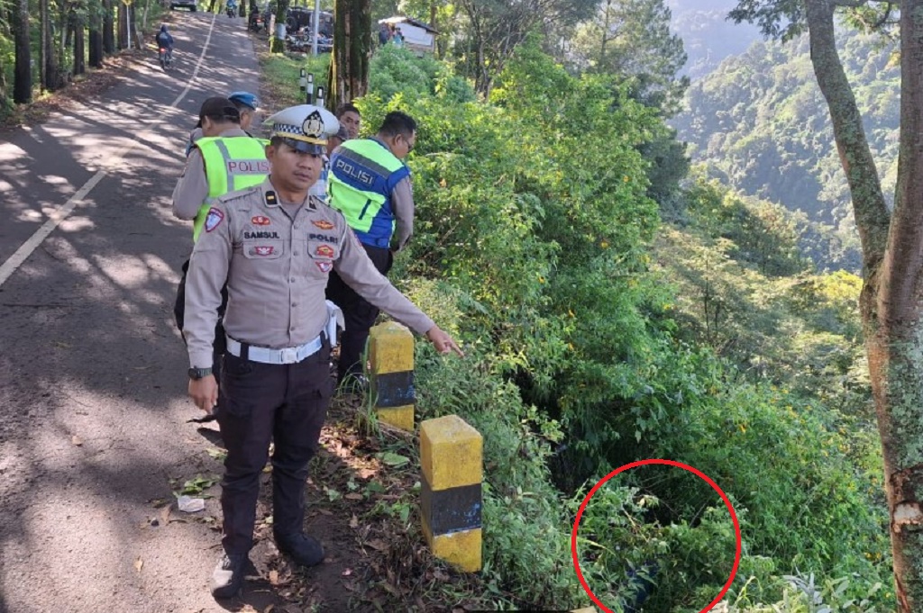 Kecelakaan Jeep Wisatawan Gunung Bromo Terjun ke Jurang, 1 Korban WNA Korsel