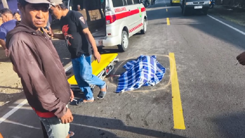 Kecelakaan Maut di Jalan Trans Sulawesi, Pemotor Tewas Terlindas Truk