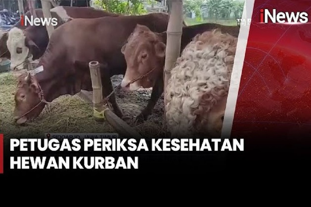 Razia Hewan Kurban Jelang Idul Adha di Sidoarjo, Cegah Penyakit Mulut dan Kuku