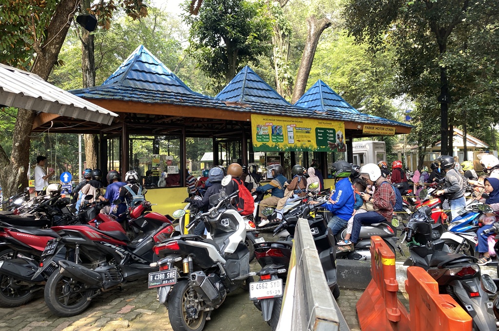 Libur Iduladha, Pengunjung Taman Margasatwa Ragunan Tembus 19.000 Orang