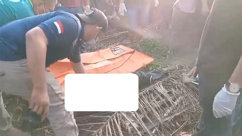 Terungkap! Temuan Pria Tewas di Kebun Sawit Labusel, Dibunuh Pencuri saat Tepergok Korban