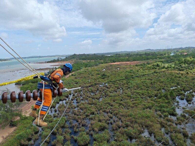 PLN Setor Rp65,59 Triliun lewat Dividen hingga Pajak dan PNBP