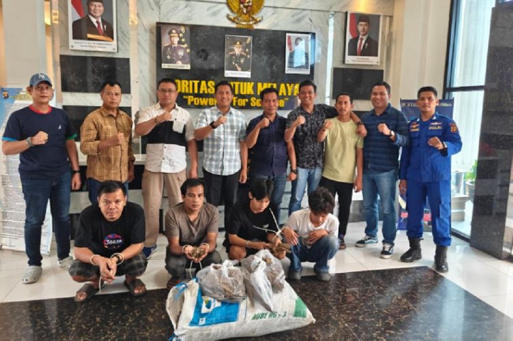 Polairud Polda Jambi Gagalkan Penyelundupan Sisik Trenggiling, 4 Pelaku Ditangkap