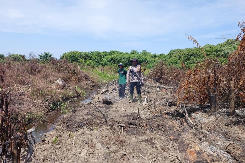 BNPB Ungkap 3 Karhutla di Aceh-Sumut, 60 Hektare Lebih Lahan Terbakar
