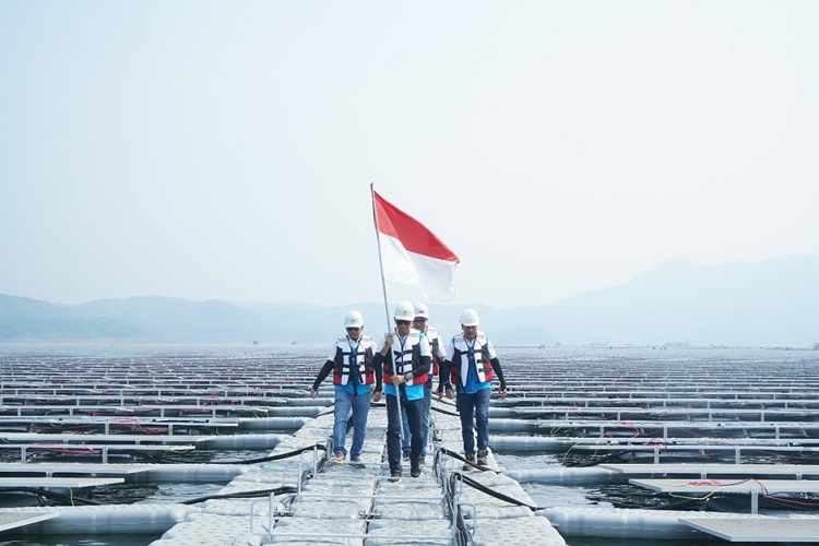 Terus Tumbuh, Green Financing BRI Tercatat Capai Rp89,9 Triliun