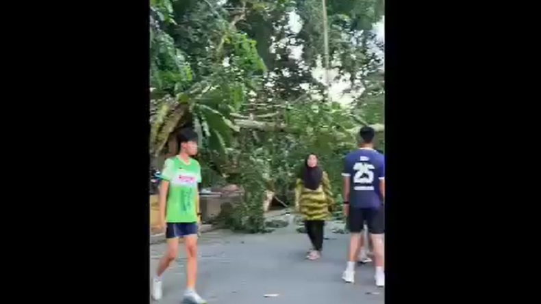 Pohon Tumbang di Alun-Alun Langkat Timpa Kerumunan Orang dan Kendaraan, 1 Siswi SMA Tewas