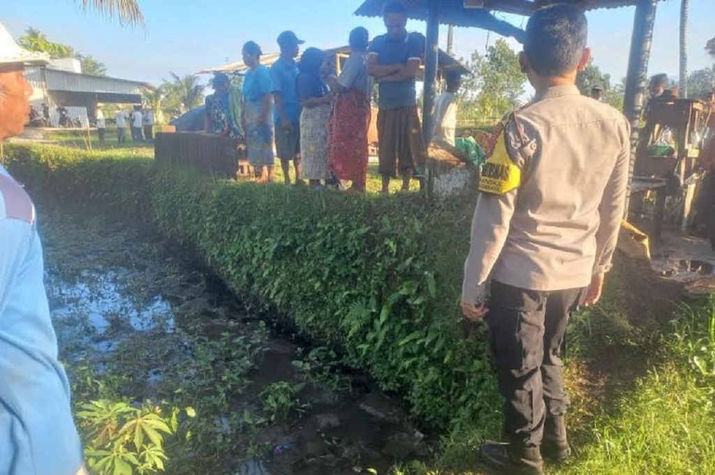 Lombok Tengah Geger, Lansia 70 Tahun Ditemukan Tewas di Sawah!
