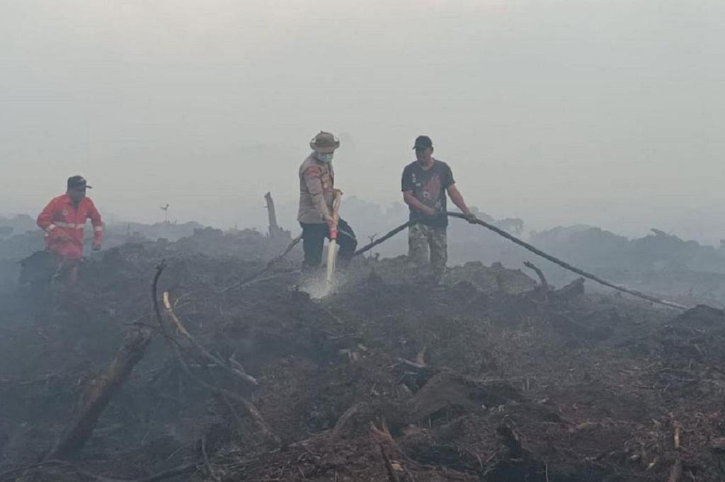 Karhutla di Muarojambi Landa 265 Hektare Lahan Gambut, Petugas Kewalahan Padamkan Api