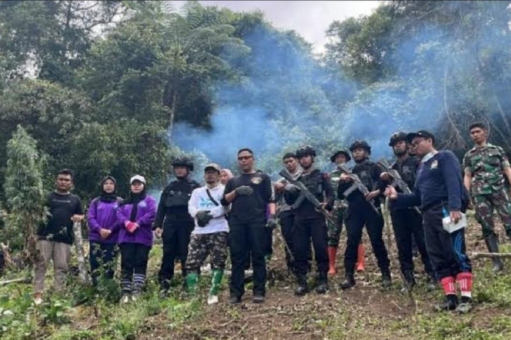 Brimob dan BNNP Sumut Musnahkan Ladang Ganja Seluas 2 Hektare di Perbukitan Tor Sihite