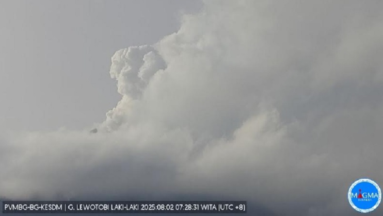 Aktivitas Vulkanik Gunung Lewotobi Meningkat, Warga Diminta Keluar dari Area Rawan Bencana