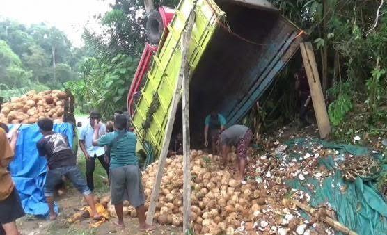 Kecelakaan Truk Pengangkut Kelapa Terguling di Tanggamus, 2 Pekerja Tewas