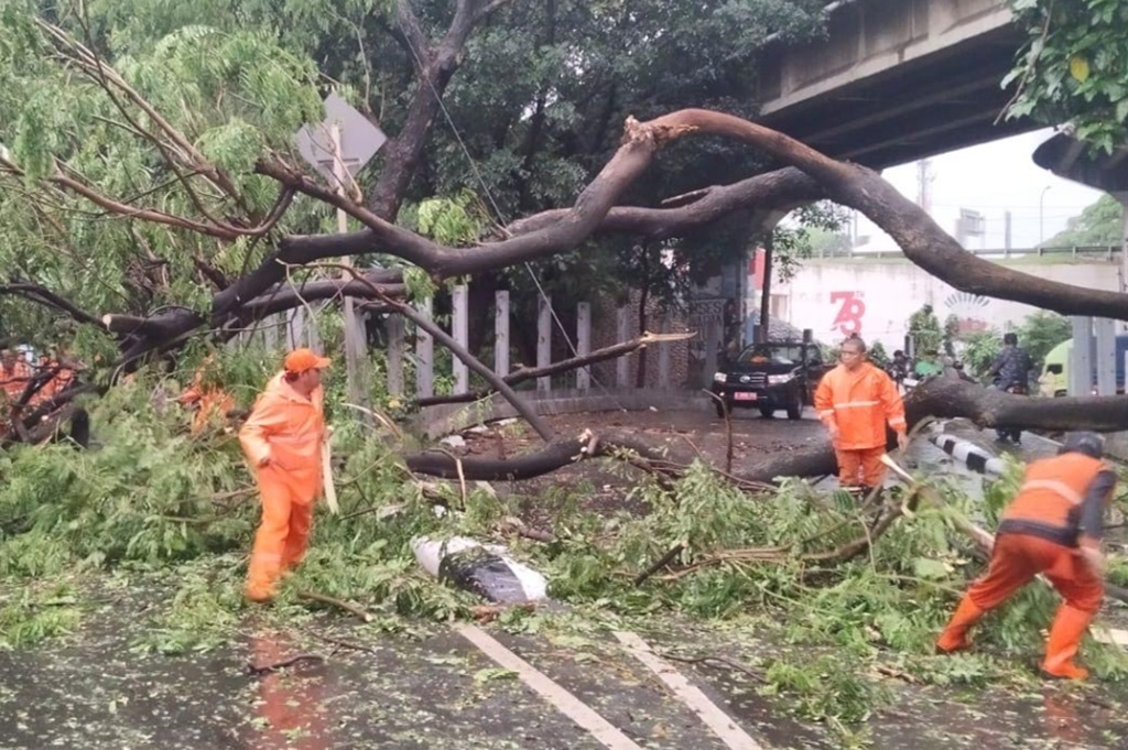 10 Pohon Tumbang di Jakarta Imbas Hujan Deras Sore Ini