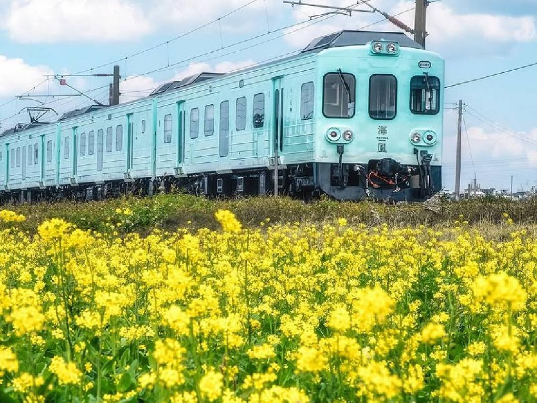 Kereta Mewah Haifeng di Taiwan Jadi Incaran Anak Muda, Ini Potretnya!