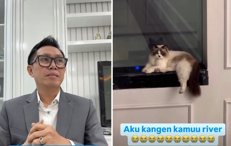 Kucing Dicuri Massa Pendemo, Eko Patrio: Aku Kangen Kamu River
