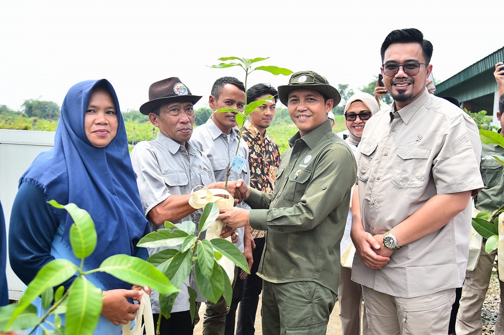 Arahan Prabowo, Pemerintah Bagikan 17 Juta Bibit Pohon Gratis ke Warga hingga Akhir 2025