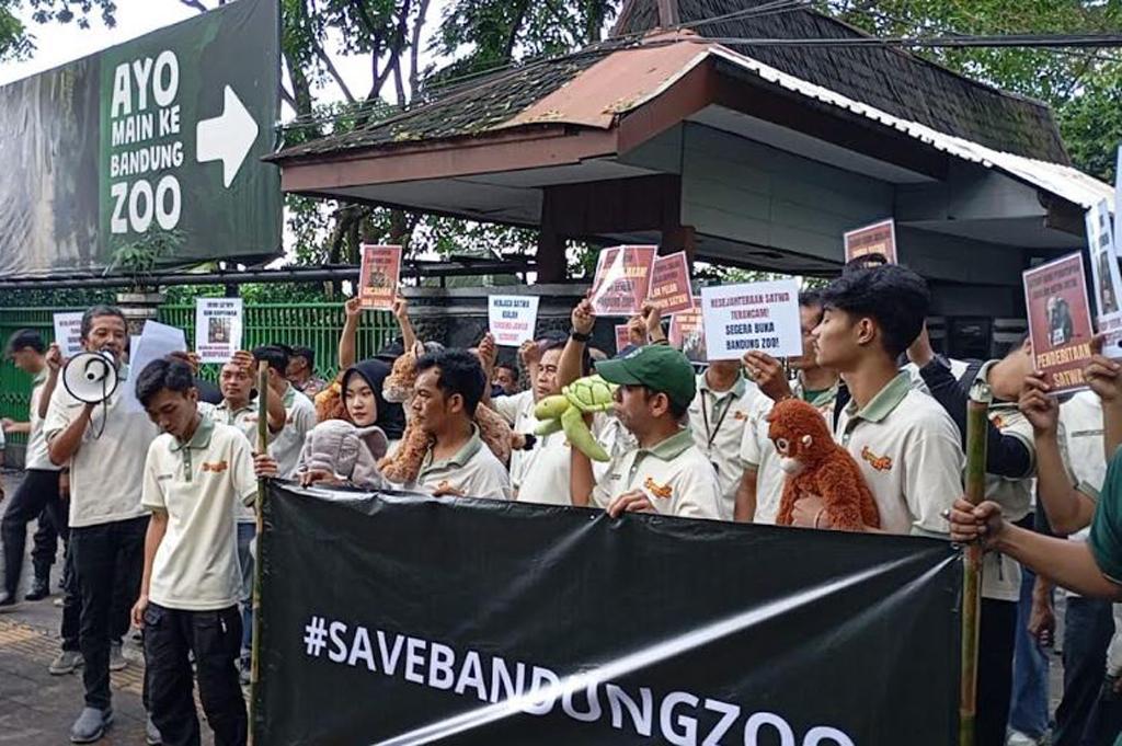 Bandung Zoo Ditutup Sebulan, Pegawai Menjerit dan Desak Pemerintah Turun Tangan