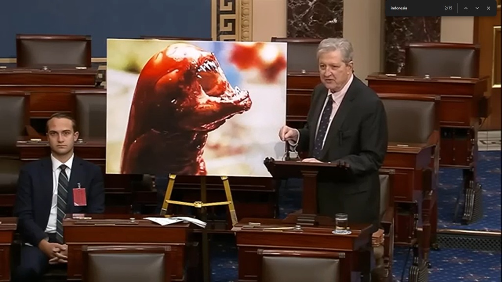 Heboh Senator AS John Kennedy Sebut Makan Udang Beku dari Indonesia Bisa Jadi Alien