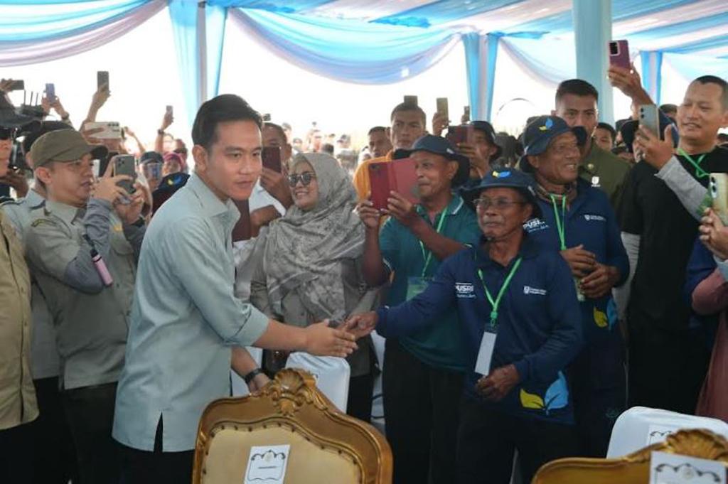 Wapres Gibran Panen Raya Jagung di Banyuasin, Ajak Generasi Muda Perkuat Ketahanan Pangan