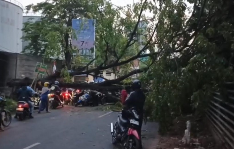 Jalan Kaliabang Tengah Bekasi Macet Total Imbas Pohon Tumbang