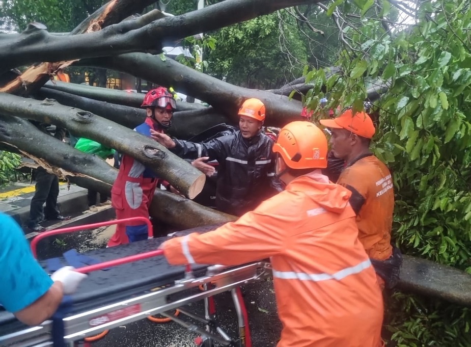 Pohon Tumbang Timpa 5 Mobil di Dharmawangsa Jaksel, 1 Orang Tewas
