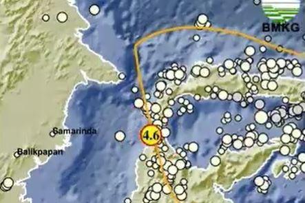 Info BMKG Gempa Terkini Guncang Donggala Sulteng, Cek Magnitudonya!