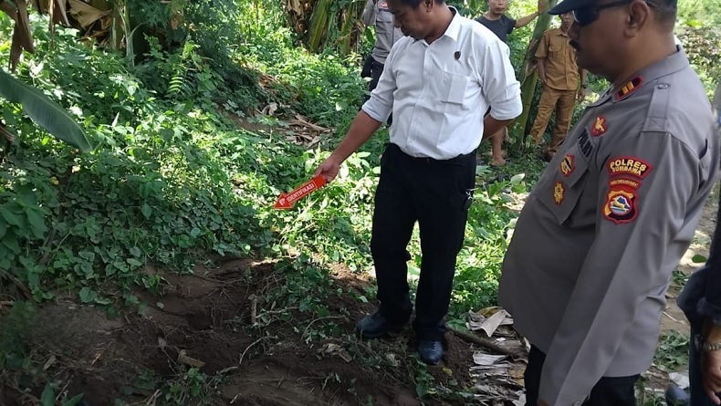 Sumbawa Geger, Kucing Peliharaan Bawa Janin ke Dapur Sempat Dikira Warga Usus Ikan