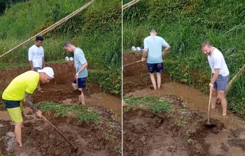 Viral Momen Bule Nyangkul di Sawah, Netizen: Petani Aja Naturalisasi