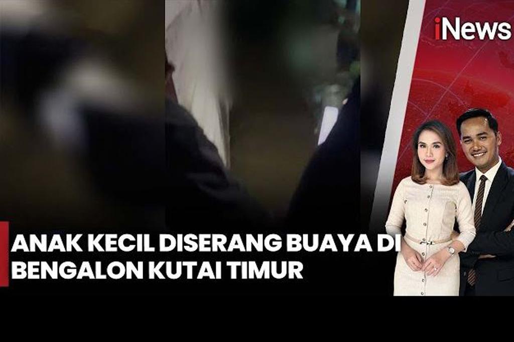 Terekam Video Bocah 10 Tahun Diserang Buaya di Kutai Timur, Warga Histeris