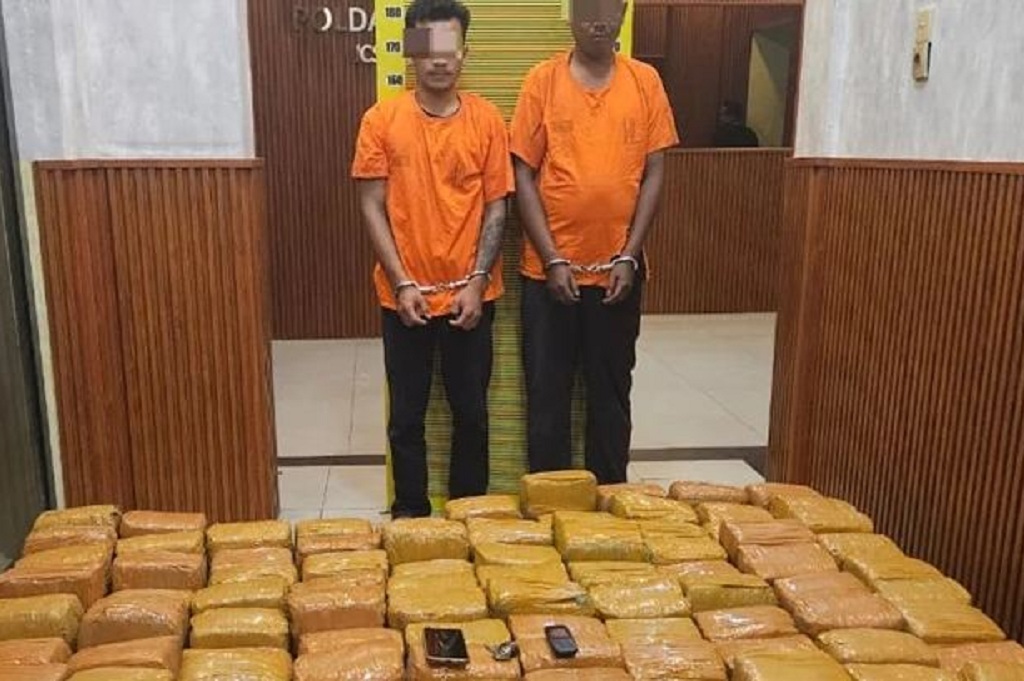 Dalang Penyelundupan Ganja 255 Kg dari Aceh–Medan Diburu, Warga Nagan Raya