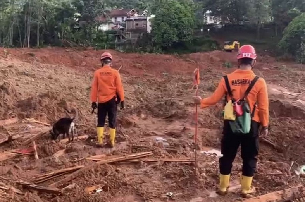 Tragedi Longsor Cilacap: Hari Ketiga Operasi SAR, 20 Korban Tertimbun Belum Ditemukan