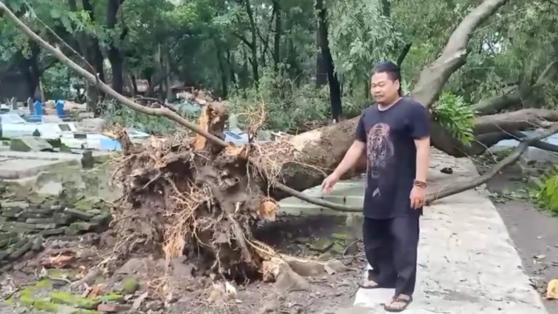 Puting Beliung Terjang Majalengka, Pohon Tumbang hingga Atap Rumah Rusak