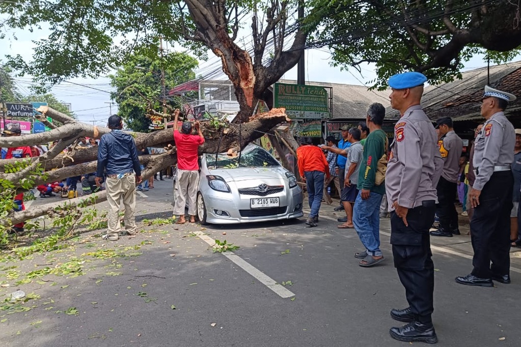 Pohon Tumbang Timpa Mobil di Rempoa Tangsel, 2 Orang Luka-Luka