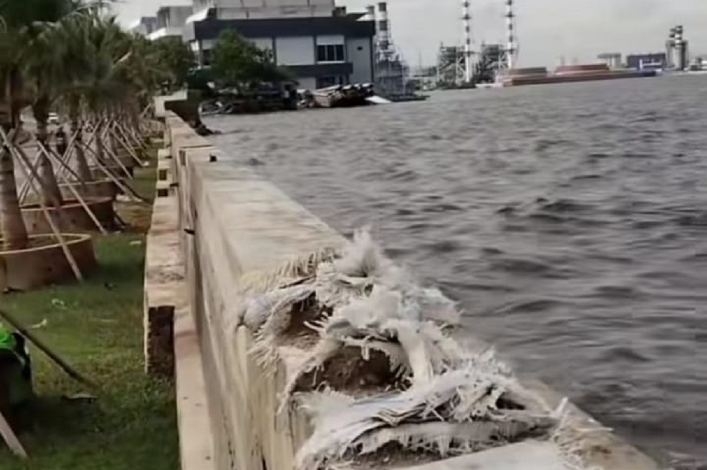 Viral Air Laut di Pesisir Jakarta Lebih Tinggi dari Daratan, Mengkhawatirkan!