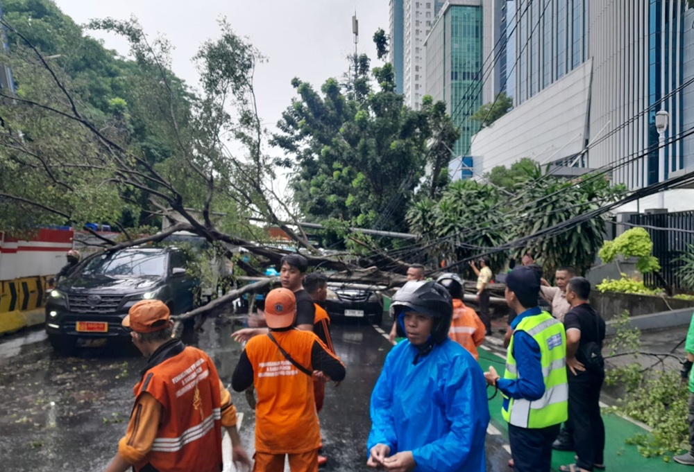 Ngeri! Pohon Tumbang di Jalan DI Panjaitan Jaktim Timpa Sejumlah Mobil 