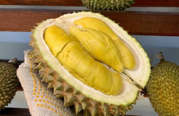 Geger! Malaysia Klaim Durian Jadi Buah Nasional, Ini Faktanya