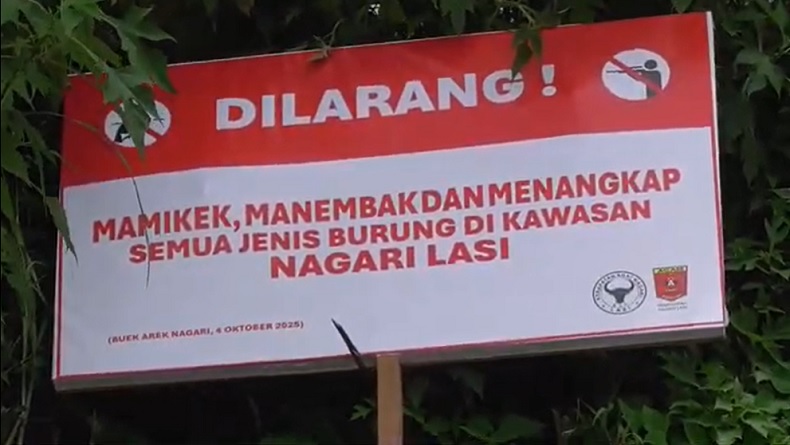 Warga Nagari Lasi Sumbar Tetapkan Sumpah Adat, Larang Tebang Pohon dan Berburu Burung