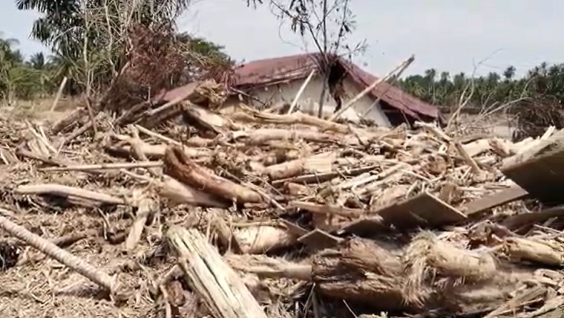 31 Perusahaan Diduga Penyebab Bencana Sumatera: 9 di Aceh, 8 di Sumut dan 14 di Sumbar