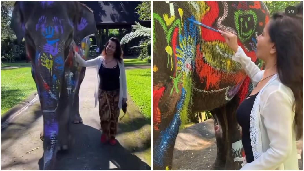 Melanie Subono Marah Lihat Gajah di Mason Elephant Park and Lodge Bali Dicoret-coret Cat!