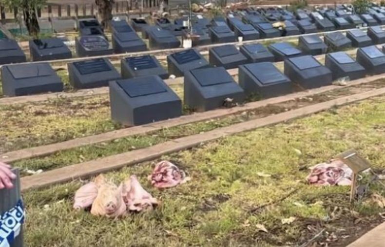 Pemakaman Islam di Australia Dilempari Kepala Babi, Buntut Penembakan Komunitas Yahudi