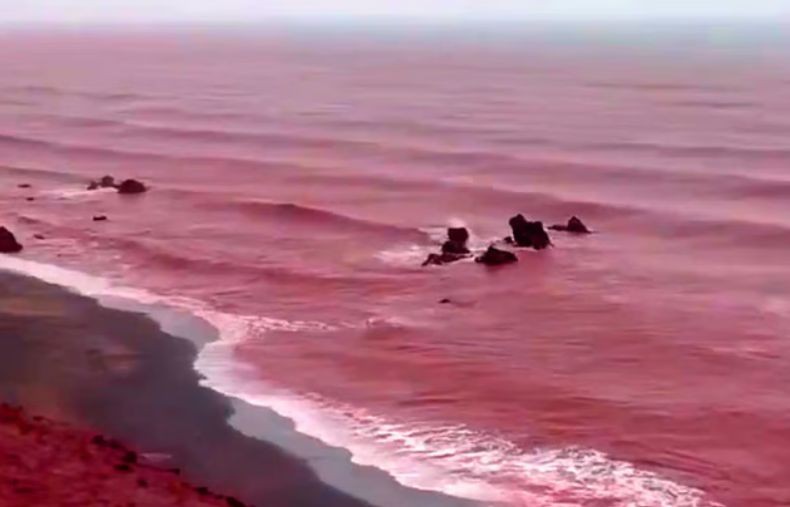 Viral, Pantai di Iran Berubah Menjadi Merah seperti Lautan Darah