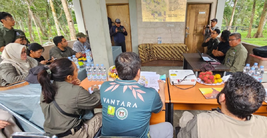 Kemenhut Gandeng India untuk Cegah Kematian Gajah Sumatra Akibat EEHV