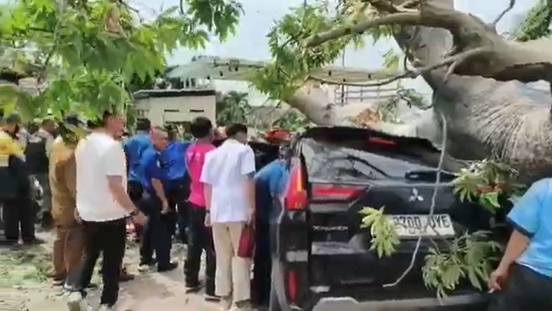 Pohon Besar Tumbang Timpa 2 Mobil di Hotel Bandar Lampung, 1 Orang Terluka Parah